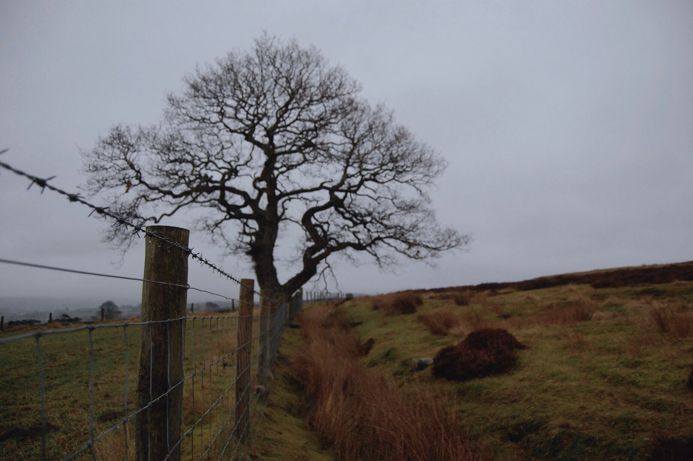 Grey rainy day on the moors above Commondale village 