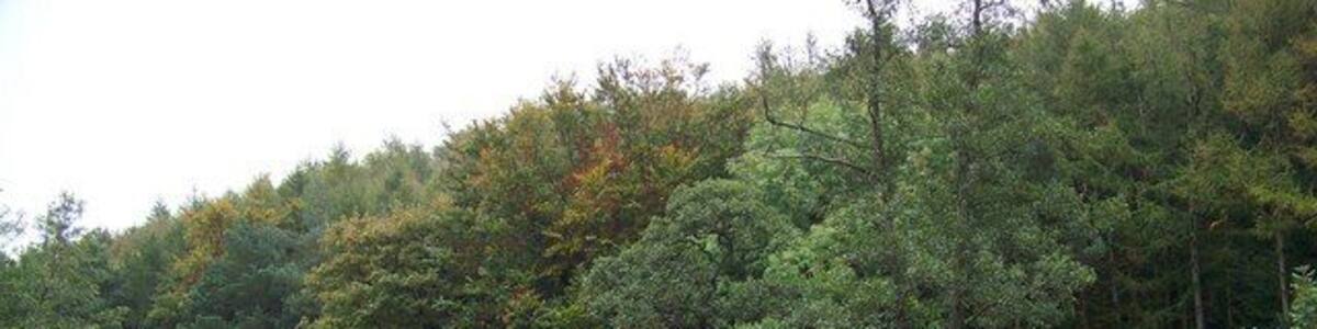 The Old and The New The modern road bridge and the 17th century packhorse bridge at Glaisdale.