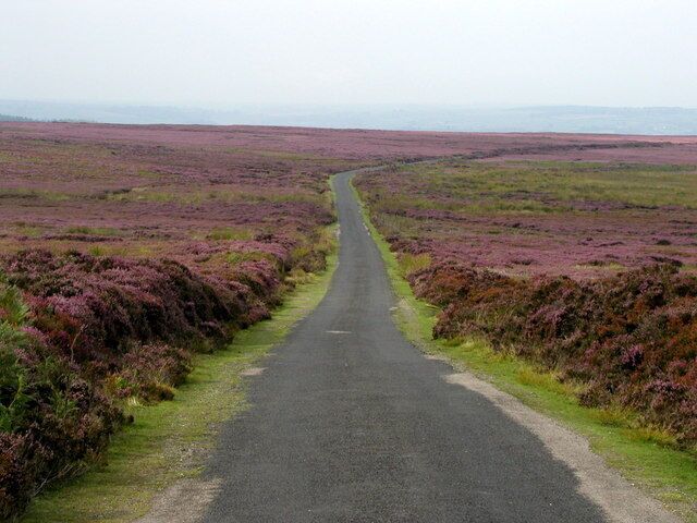 A rural road flanked by purple heather fields.