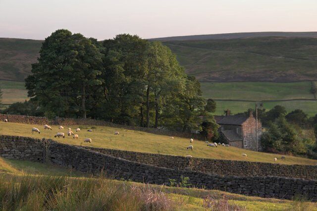Hollins Farm. Westerdale Side.
