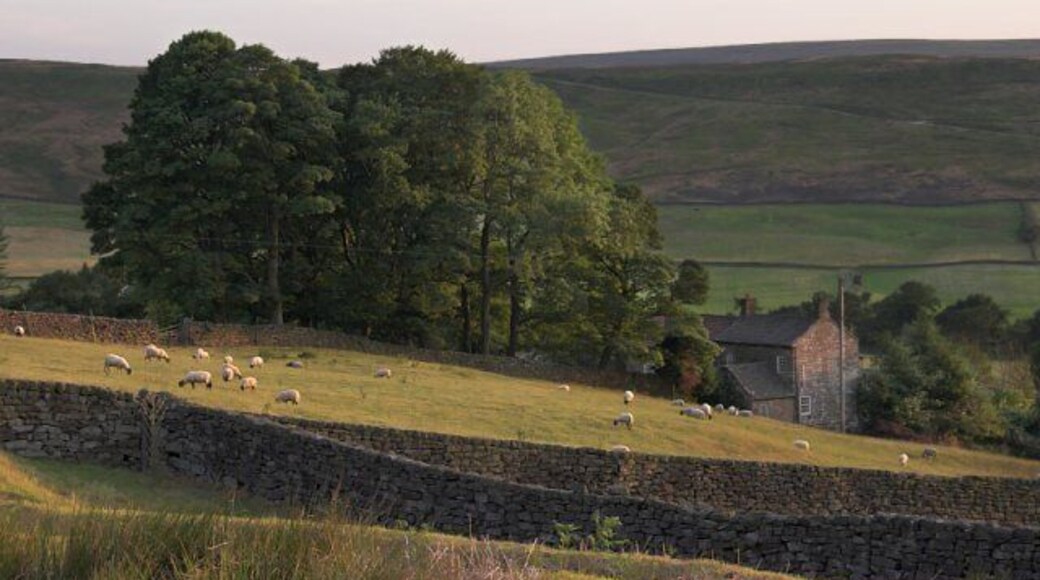 Hollins Farm. Westerdale Side.