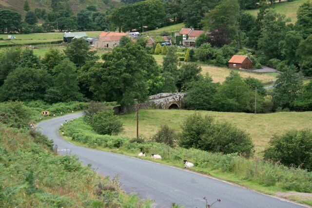 A rural road winding through a green landscape with sheep grazing, a stone bridge, and houses in the background.