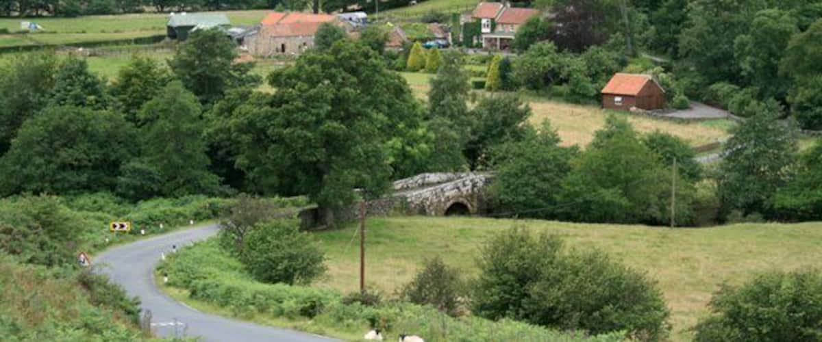 A rural road winding through a green landscape with sheep grazing, a stone bridge, and houses in the background.