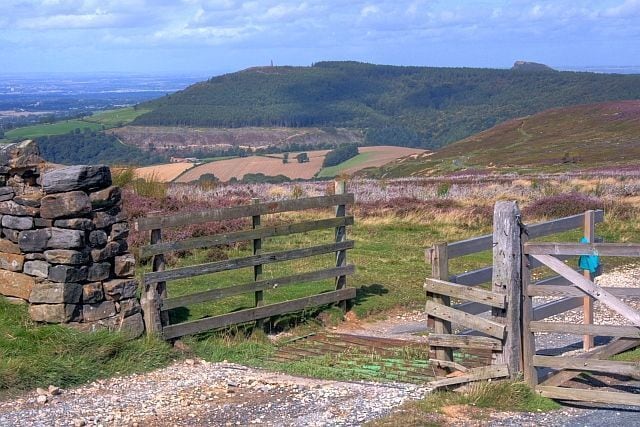 Cattle Grid, Warren Moor. I didn't realise my earlier photo, 10440 of the same cattle grid was so poor. In the distance is Easby Moor and Capt. Cooks Monument (NZ5910), the climb to which awaits walkers as they pass this spot on the Cleveland Way. The gate is named as Juniper Gate on a 1950 edition of the 6" OS map and is close to the site of John o' Man's Cross.
