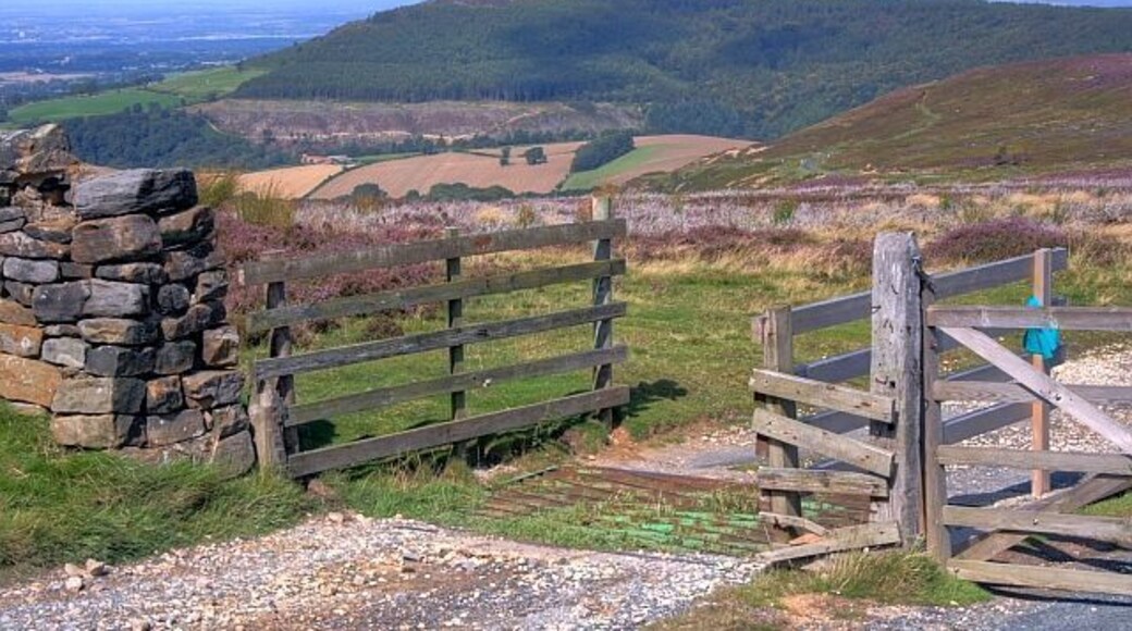 Cattle Grid, Warren Moor. I didn't realise my earlier photo, 10440 of the same cattle grid was so poor. In the distance is Easby Moor and Capt. Cooks Monument (NZ5910), the climb to which awaits walkers as they pass this spot on the Cleveland Way. The gate is named as Juniper Gate on a 1950 edition of the 6" OS map and is close to the site of John o' Man's Cross.