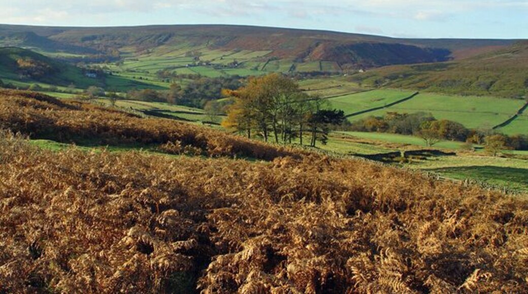 Westerdale valley Descending into the valley with winter sunshine on a clear day, one gets the clear distinction between the fertile valley and the wild open moors. This view is southwest from the minor road that leads up to the Castleton - Hutton-le-Hole road, (which is still only a minor road).