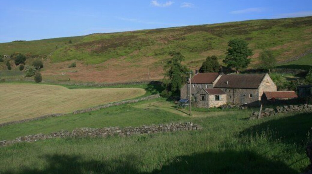 The Coombs Situated on the minor road to Little Fryup Dale.