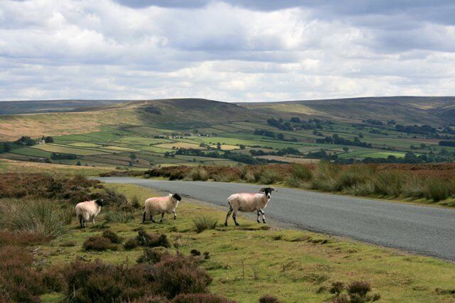 Road Over Commondale Moor Castleton Rigg in the distance.