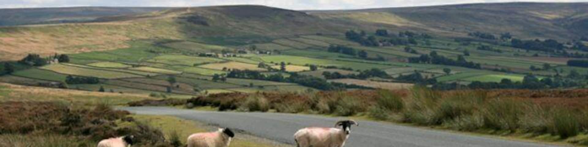 Road Over Commondale Moor Castleton Rigg in the distance.