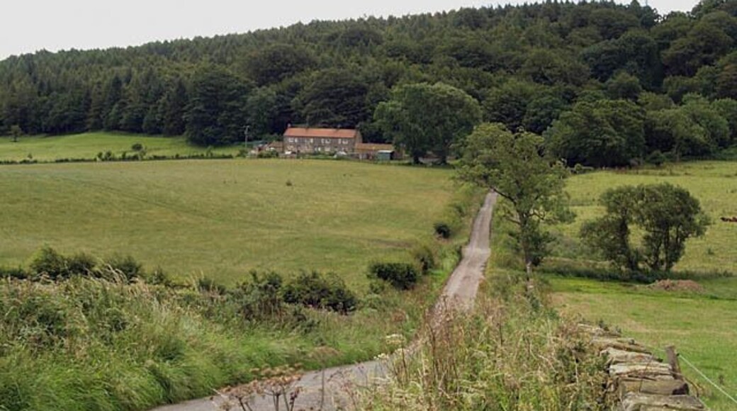 Green Gate Lane Leading to Little Kildale