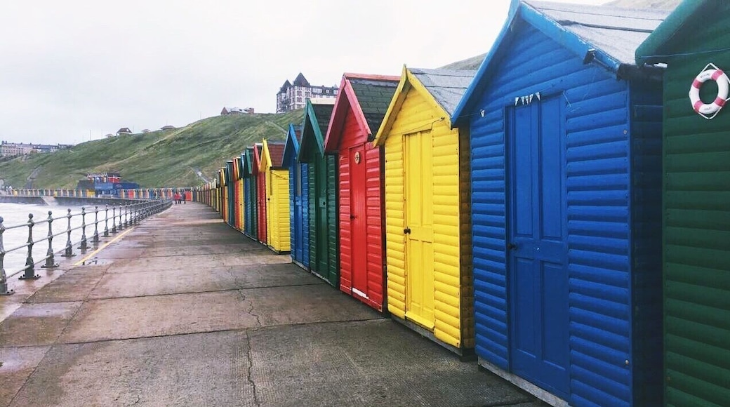 Whitby's Beach Huts
September 2017