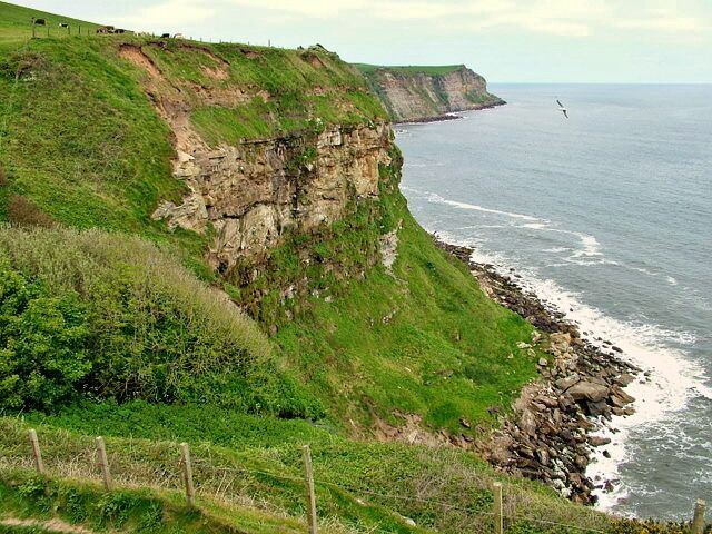A coastal cliff with a steep drop to the sea, a grassy slope, and a rocky shoreline.