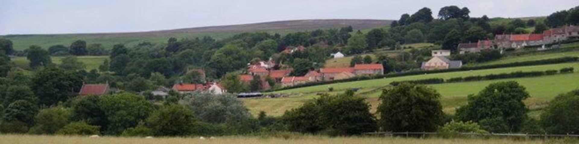 Danby from across the valley