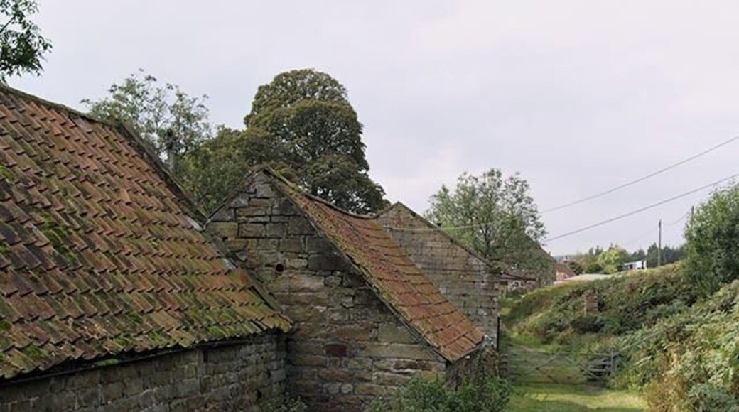 Bridleway and barns at Park Nook Many of the barns around Esk Dale have been converted into housing in recent years. These ones have escaped that fate - so far.