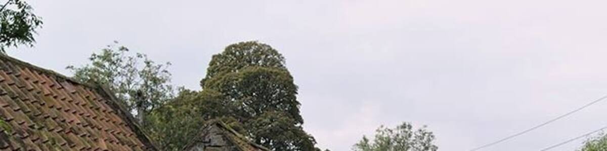 Bridleway and barns at Park Nook Many of the barns around Esk Dale have been converted into housing in recent years. These ones have escaped that fate - so far.