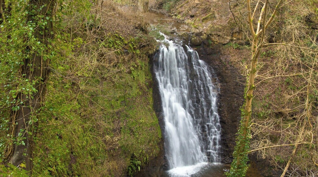This is the large waterfall at the Falling Foss..