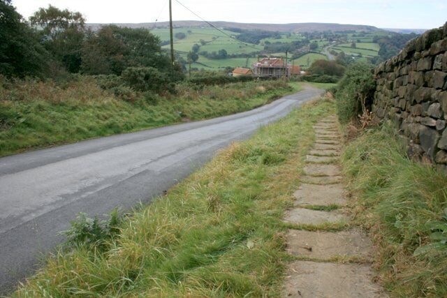 Pannierway, Lealholm Side Road Left alone by the modern road an old pannierway runs alongside.