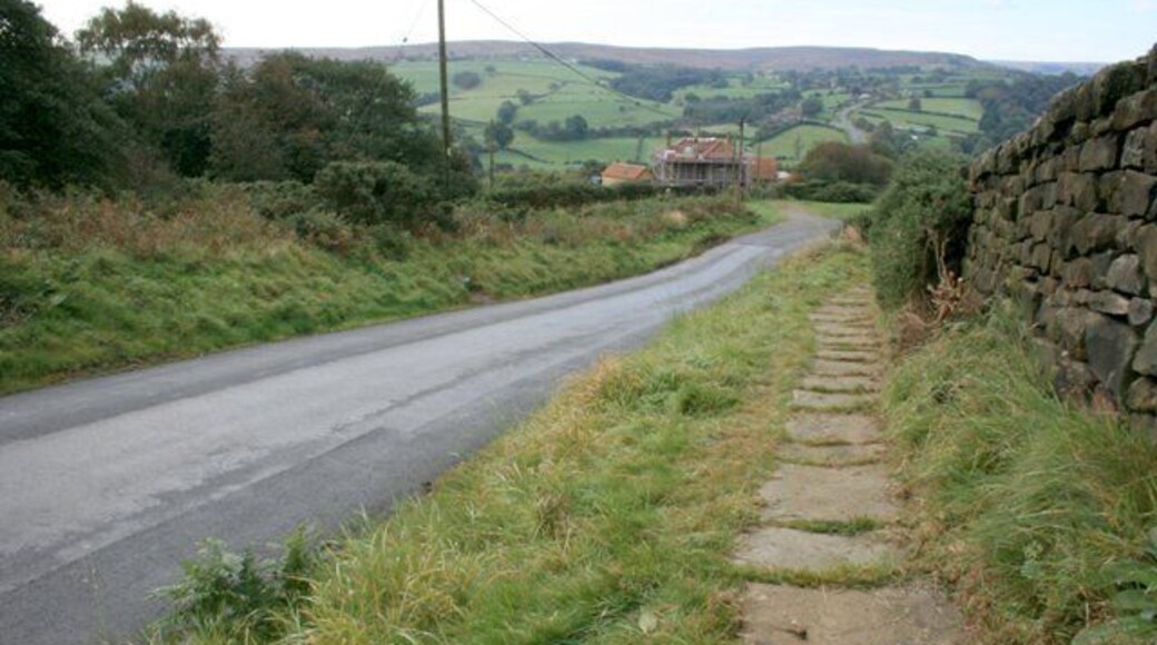 Pannierway, Lealholm Side Road Left alone by the modern road an old pannierway runs alongside.