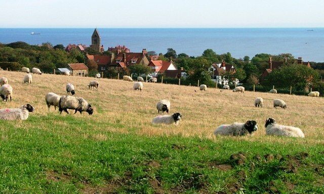 Field off Church Lane Looking down onto the village of Robin Hood's Bay.