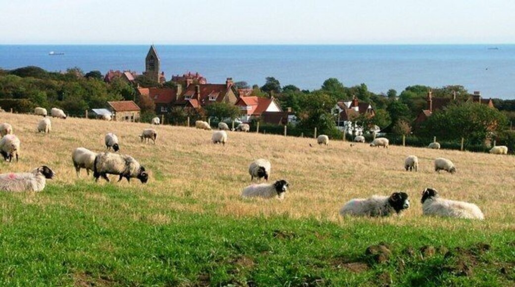 Field off Church Lane Looking down onto the village of Robin Hood's Bay.