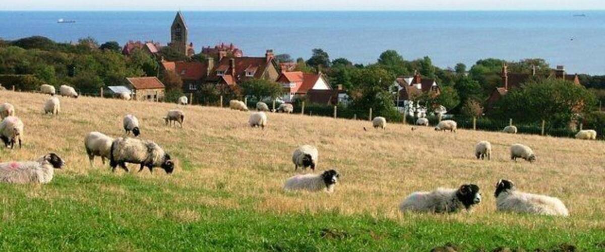 Field off Church Lane Looking down onto the village of Robin Hood's Bay.
