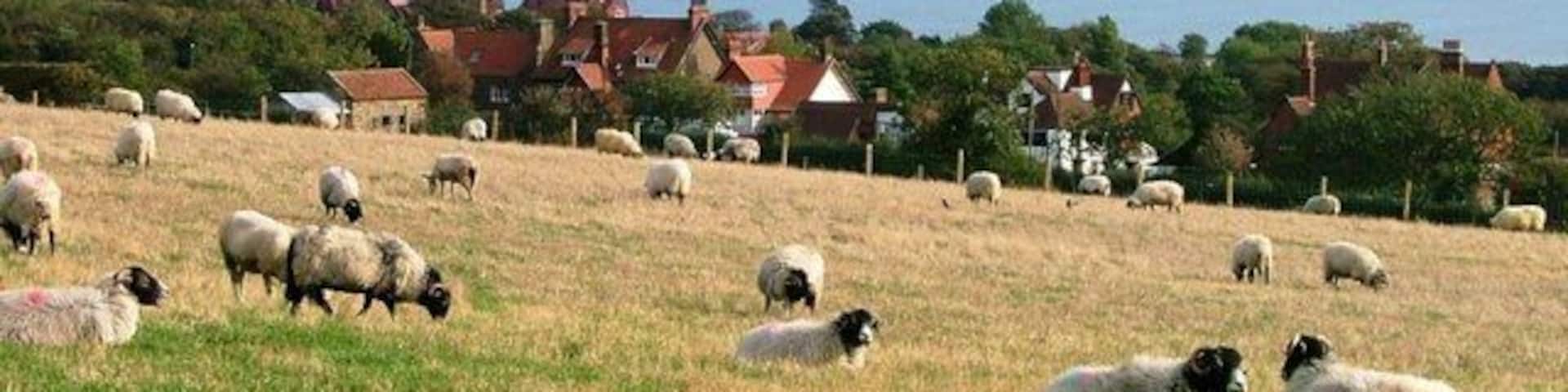 Field off Church Lane Looking down onto the village of Robin Hood's Bay.