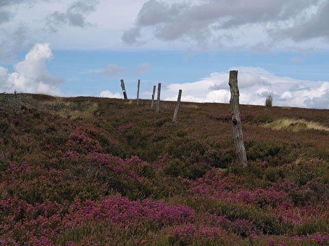 This way up The bridleway from Baysdale follows this line of posts across the moorland. Once a fence I think; it is marked as one on the 1:25000 map.