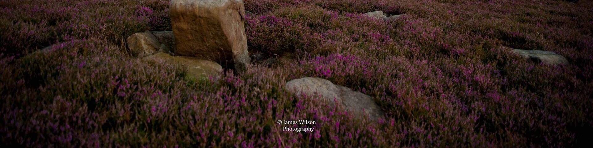 'The Sitting Man' bronze sculpture on the North Yorkshire Moors
