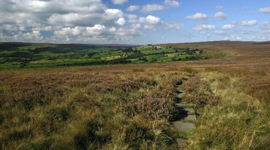 Trod on Lealholm Rigg. The footpath up to Lealholm Rigg crosses another footpath, running East-West, which includes part of a trod. The trods on the North Yorkshire Moors were ancient trade routes, and were paved to help the pack horses.