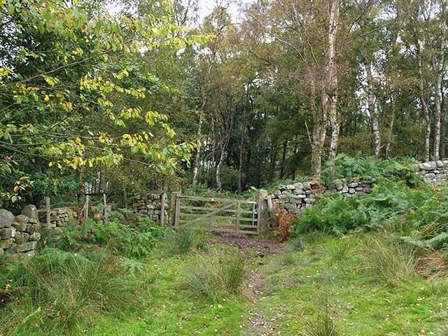 Entrance to Danby Park The bridleway between Danby and Castleton enters the birch woods