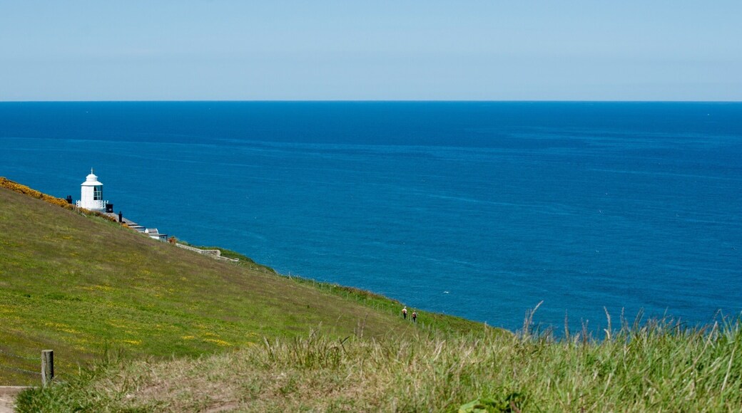 Half-way point on the coastal walk from Whitby to Robin Hood's Bay in North Yorkshire, England.
The walk is about 6 miles long and it has quite a few hills and uneven terrain, so wear good walking shoes for this one! It's well worth doing if you're in the area, you'll be rewarded with a great view of the North Sea throughout.
#hiking #waterlust