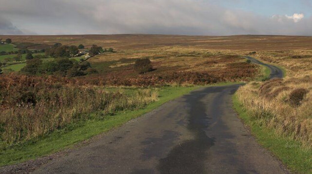 Oakley Walls Narrow twisty road between Lealholm and Danby.