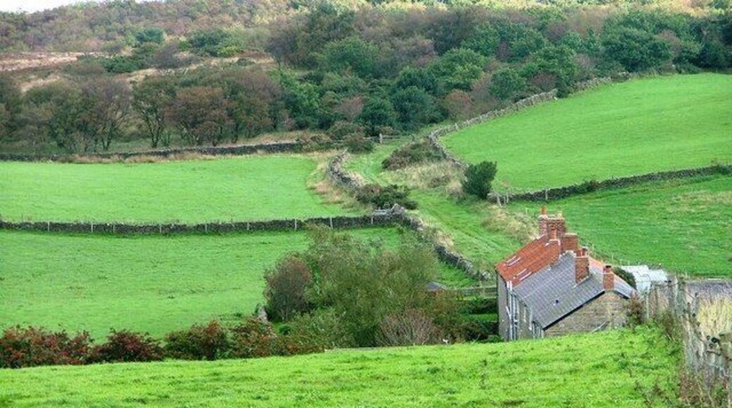 St, Ives Farm With Public Bridleway to Boggle Hole behind.