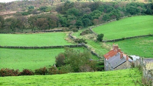St, Ives Farm With Public Bridleway to Boggle Hole behind.