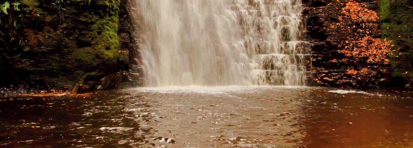 Another autumn photo.