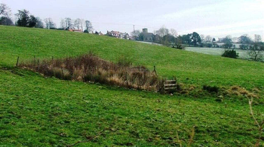 Spring, Below Home Farm. Aislaby Church in the distance.