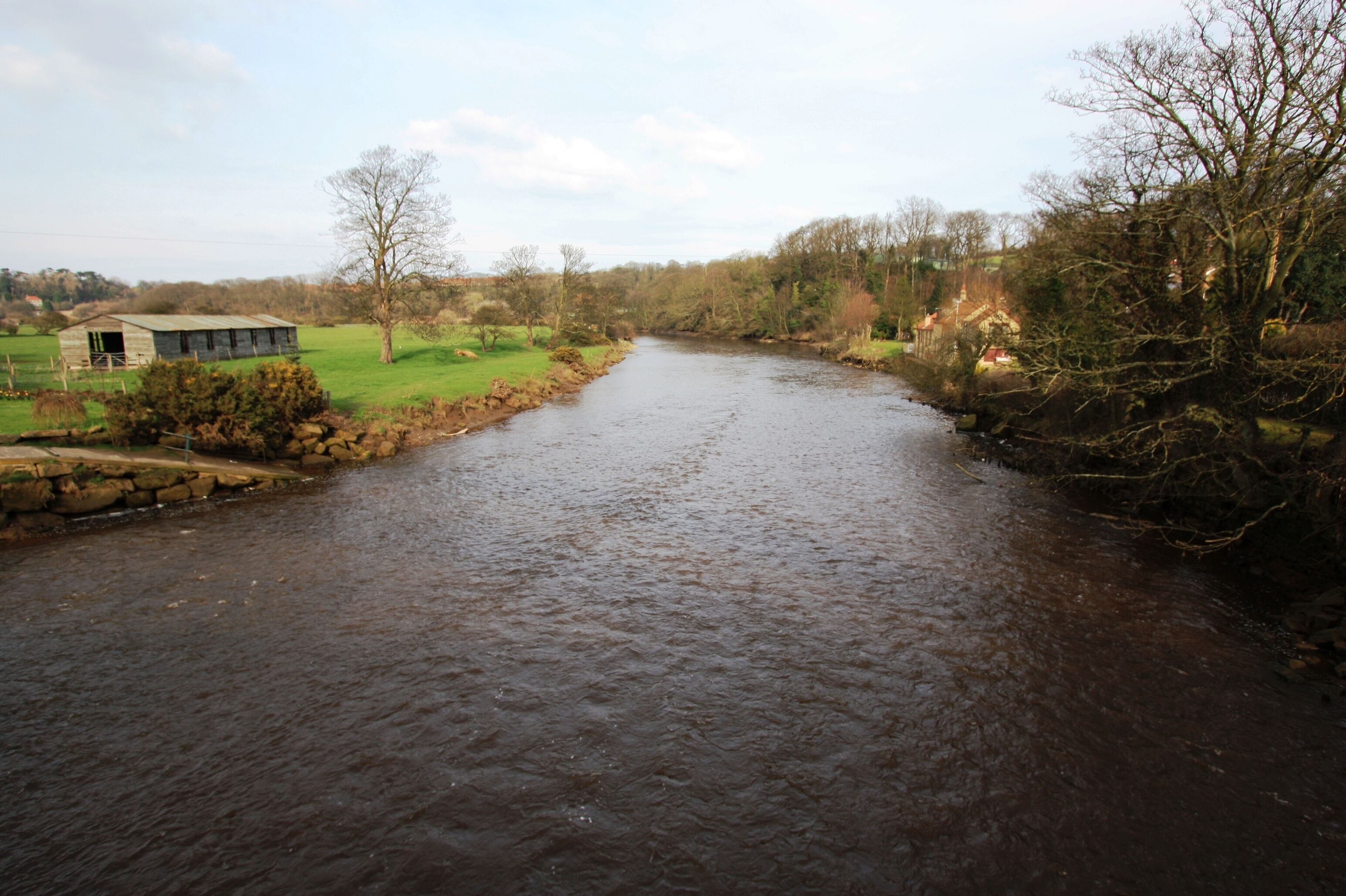 The River Esk at Ruswarp This photograph shows a view of the River Esk as it makes its way in an easterly direction from Ruswarp towards Whitby. The picture was taken from the road-bridge on the B1416 road looking in an east-north-easterly direction towards the Larpool Hall Hotel.