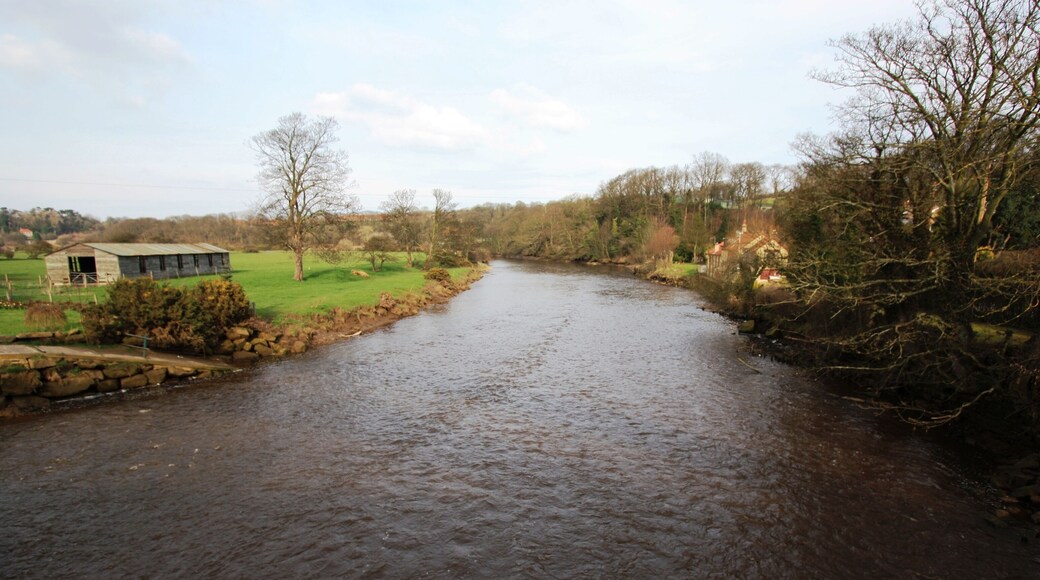 The River Esk at Ruswarp This photograph shows a view of the River Esk as it makes its way in an easterly direction from Ruswarp towards Whitby. The picture was taken from the road-bridge on the B1416 road looking in an east-north-easterly direction towards the Larpool Hall Hotel.