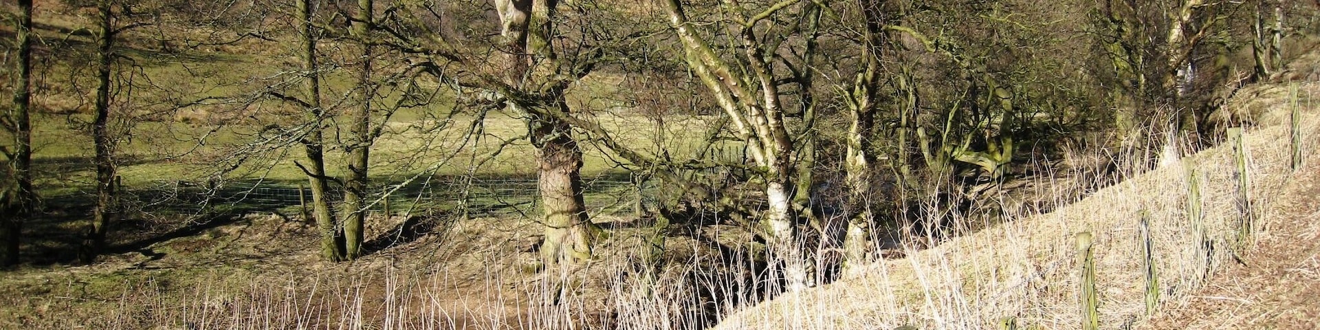 Baysdale Beck This photograph shows a view of Baysdale Beck as it flows from Baysdale Abbey towards Hob Hole. The picture was taken looking in a north-easterly direction towards Kildale Moor.