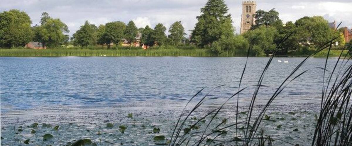 Un lago con nenúfares, una torre y árboles.