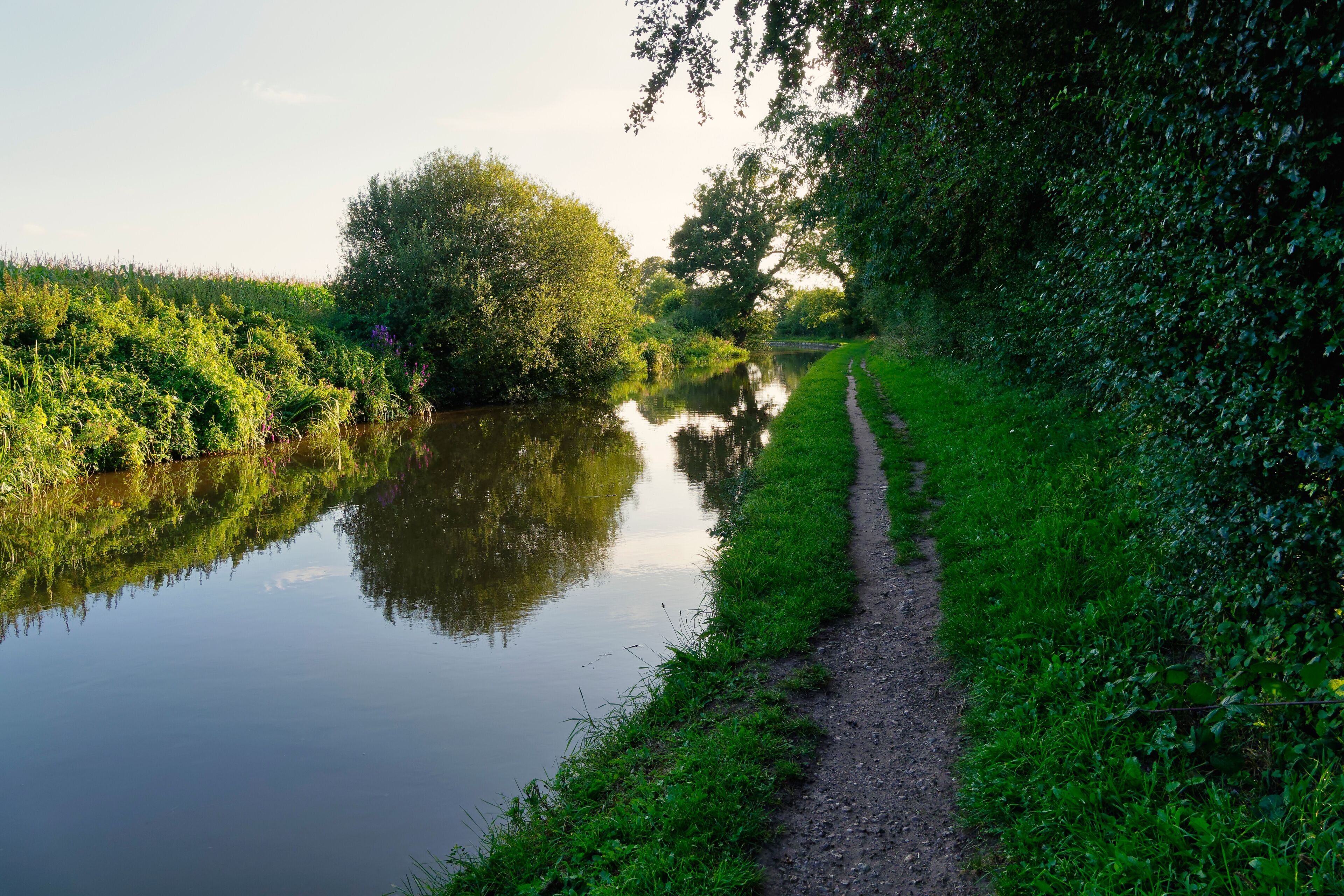Well worn tow path beside the Shropshire Union Canal on a summer evening.