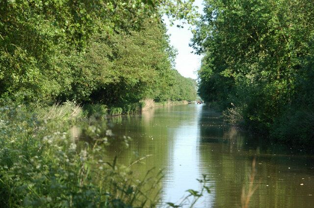 A calm river flanked by dense green foliage.