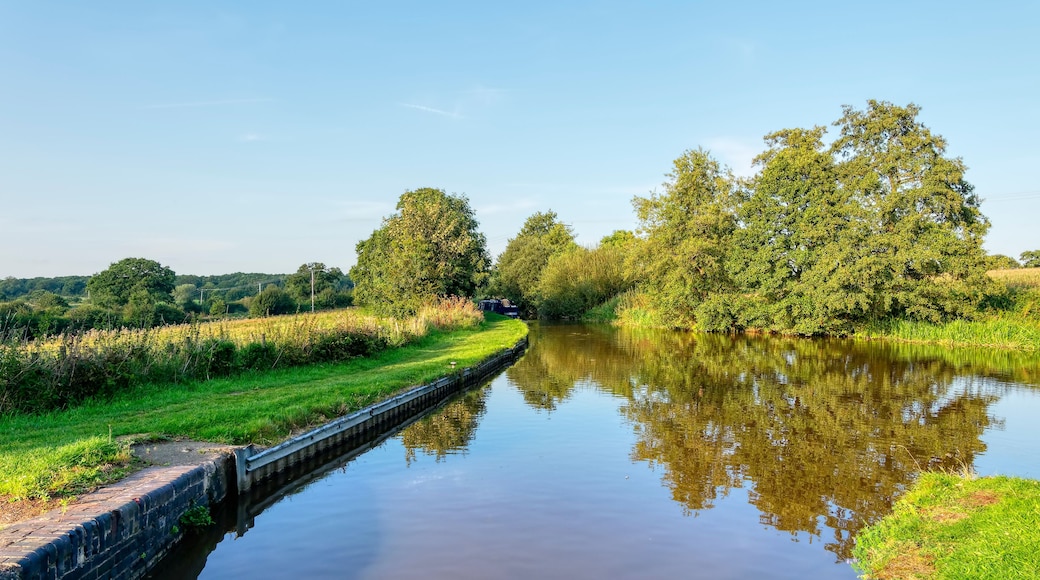 Late summer afternoon on the still waters of the Shropshire Union Canal near Whitchurch.