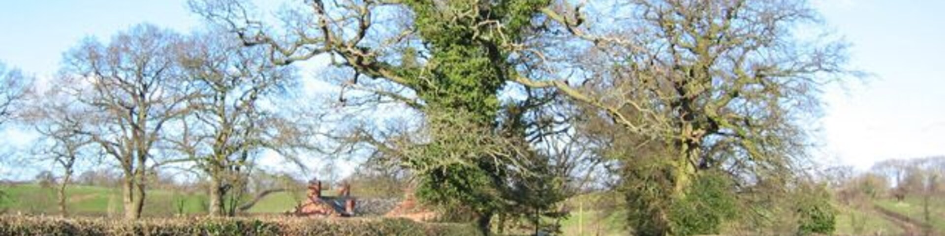 Mature oaks by Llethr Mill View north along the track between Iscoyd Park Gate House and Wolvesacre Mill. The track is signed as a public byway but is unpaved along most of its length. Llethr Mill is visible on the left. The track is just about to descend into the valley of Wych Brook. 337543 shows the track further south