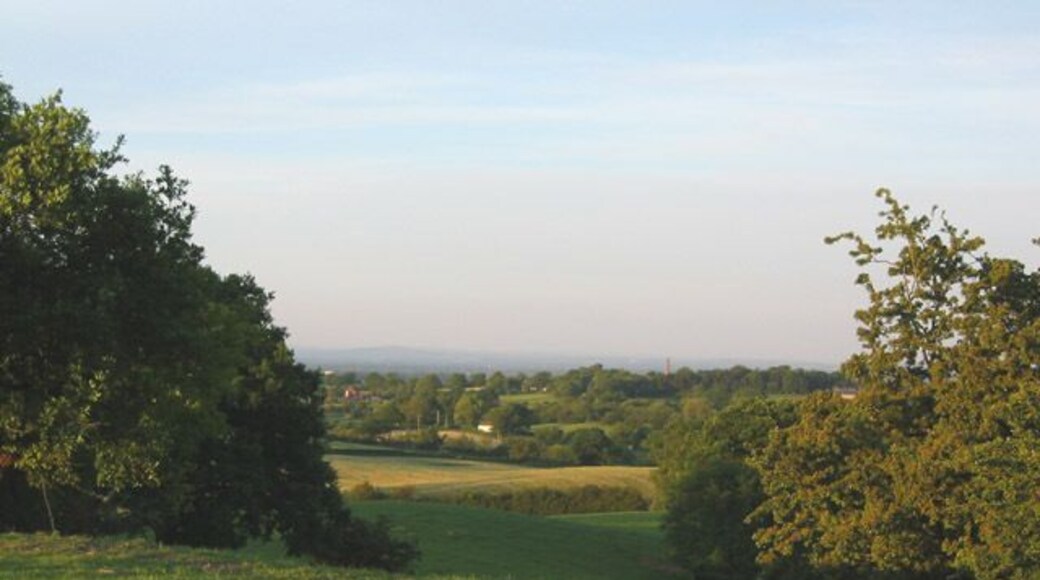 View towards Brankelow Moss from South Cheshire Way. The South Cheshire Way passes through undulating cattle pasture between Wirswall and Marbury. This view across mown fields towards Brankelow Moss shows the memorial to Stapleton Cotton, 1st Viscount Combermere, in the distance