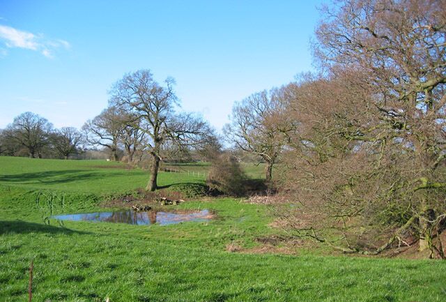 Small mere, near Gipsy Corner Small mere in undulating pastureland, adjacent to a field boundary, one of many in this area. View west from the lane from Higher Wych to Iscoyd Park