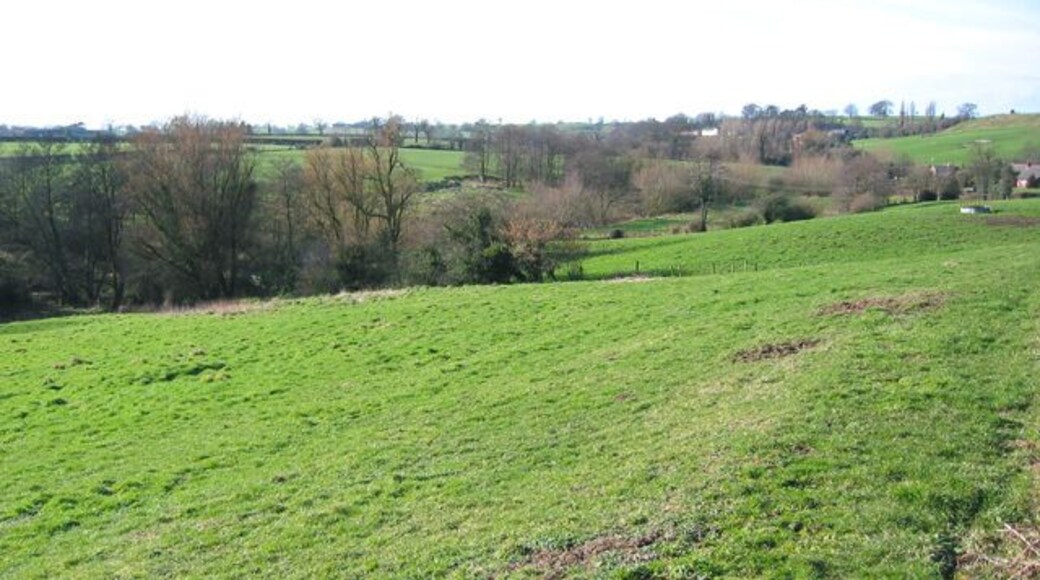 Wych Valley, near Sandholes View south across rolling pastureland, near the hamlet of Sandholes. Wych Brook runs through the near line of trees