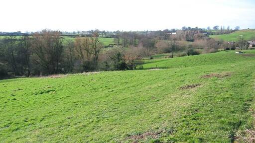 Wych Valley, near Sandholes View south across rolling pastureland, near the hamlet of Sandholes. Wych Brook runs through the near line of trees
