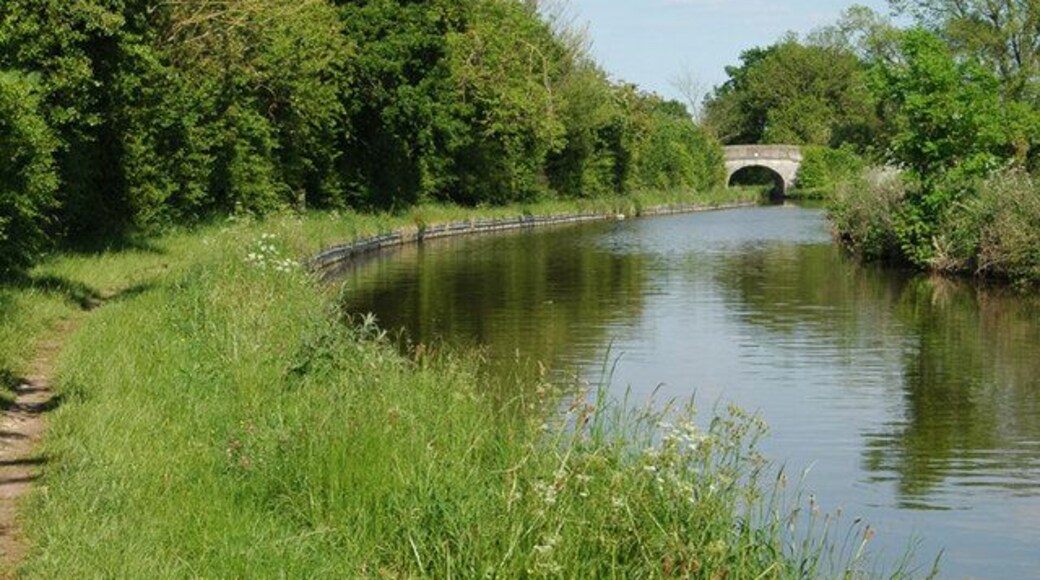 Llangollen Canal near Bettisfield The bridge is further away than it looks as the distance is foreshortened by a long leans.