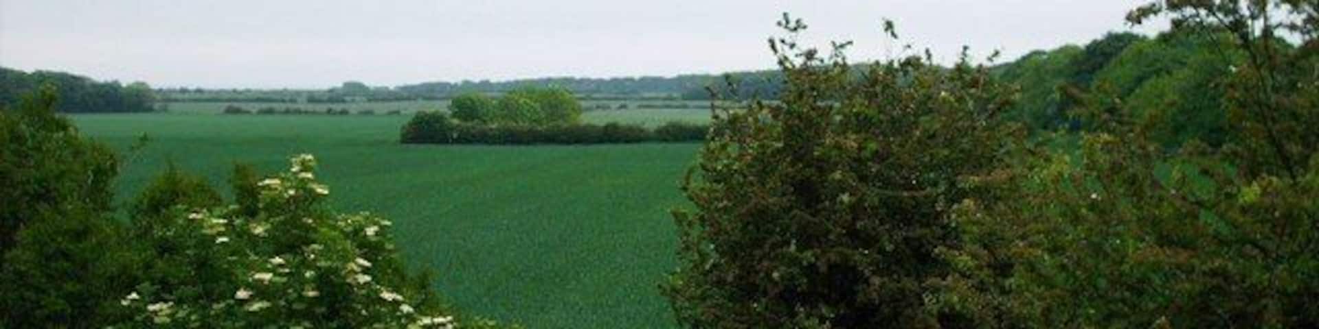 Avenue Head - the farmers view - Seaton Delaval View from Manners Gardens across fields to the coast at Seaton Sluice on the horizon. The gorgeous tree-lined avenue is seen snaking its way along the right of the shot.